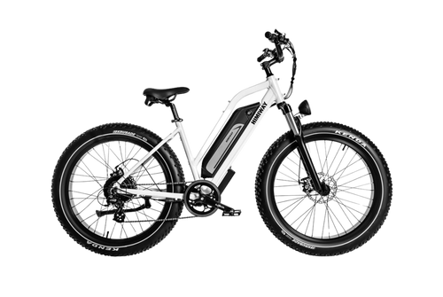 D3 CRUISER
