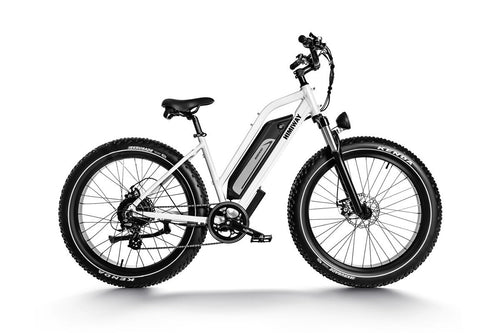 All-Terrain Ebike Cruiser ST-White