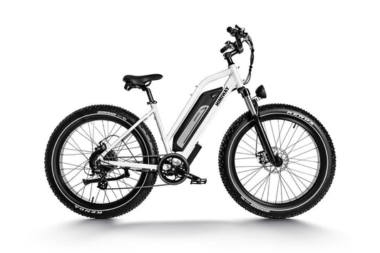 All-Terrain Ebike Cruiser ST-White