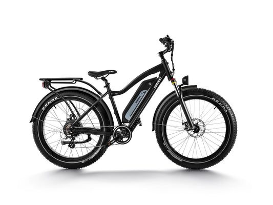 All-Terrain Ebike Cruiser ST-Black