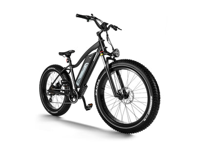 All-Terrain Ebike Cruiser ST-Black