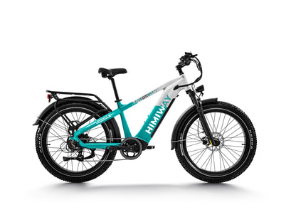 D5 ZEBRA All-terrain Electric Fat Bike-Ocean Blue White