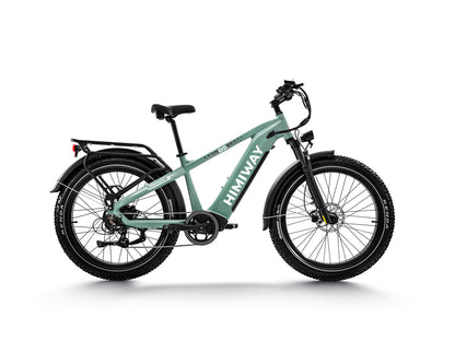 D5 ZEBRA All-terrain Electric Fat Bike-Green