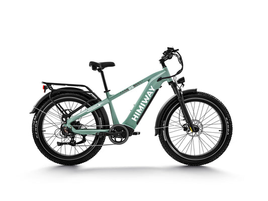 D5 ZEBRA All-terrain Electric Fat Bike-Green
