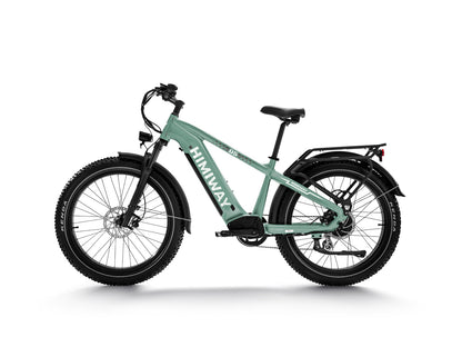 D5 ZEBRA All-terrain Electric Fat Bike-Green