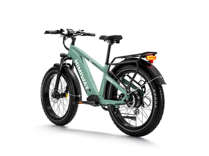 D5 ZEBRA All-terrain Electric Fat Bike-Green