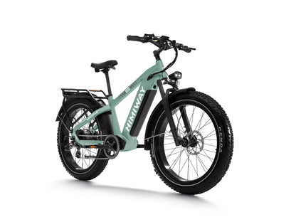 D5 ZEBRA All-terrain Electric Fat Bike-Green