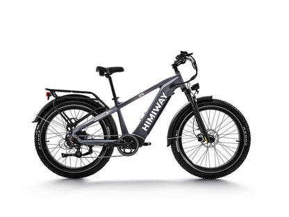 D5 ZEBRA All-terrain Electric Fat Bike-Grey