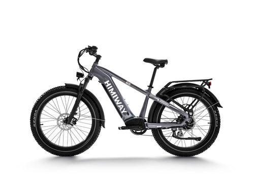 D5 ZEBRA All-terrain Electric Fat Bike-Grey