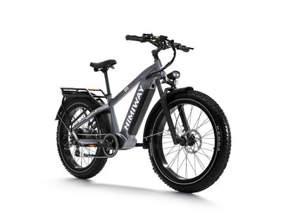 D5 ZEBRA All-terrain Electric Fat Bike-Grey