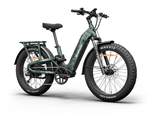 D52.0-Ful Suspension All- terrain Electric Fat Bike-Camo