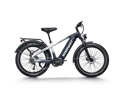 All- terrain Electric Fat Bike D5 PRO-Black White