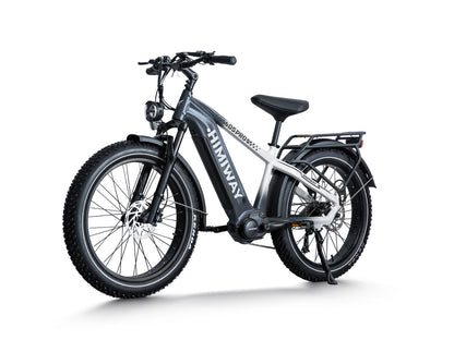 All- terrain Electric Fat Bike D5 PRO-Black White