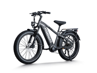 All- terrain Electric Fat Bike D5 PRO-Grey