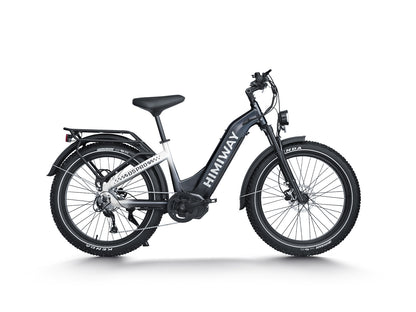 All- terrain Electric Fat Bike D5 PRO ST-Black White