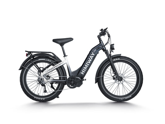 All- terrain Electric Fat Bike D5 PRO ST-Black White