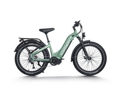 All- terrain Electric Fat Bike D5 PRO ST-Green