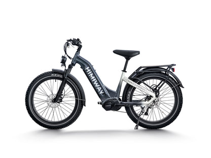 All- terrain Electric Fat Bike D5 PRO ST-Black White