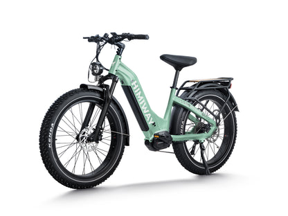 All- terrain Electric Fat Bike D5 PRO ST-Green