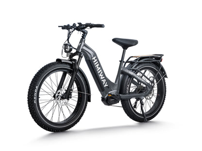 All- terrain Electric Fat Bike D5 PRO ST-Grey