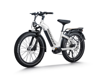 All- terrain Electric Fat Bike D5 PRO ST-White