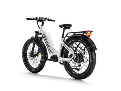 D5 ST Premium All-terrain Electric Fat Bike-White