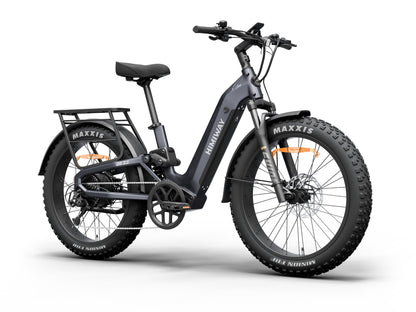 D52.0-Ful Suspension All- terrain Electric Fat Bike-Space Grey