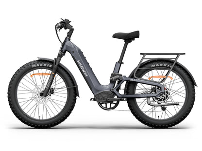 D52.0-Ful Suspension All- terrain Electric Fat Bike-Space Grey