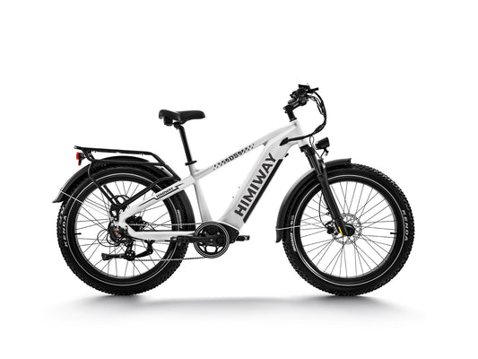 D5 ZEBRA All-terrain Electric Fat Bike-White