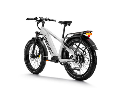 D5 ZEBRA All-terrain Electric Fat Bike-White