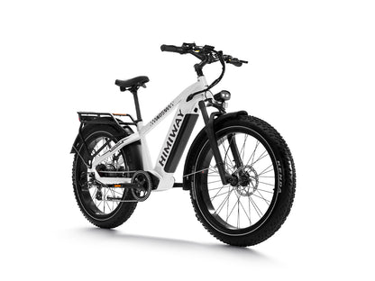 D5 ZEBRA All-terrain Electric Fat Bike-White