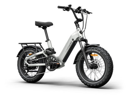 D5 2.0 20" eBike-Sage