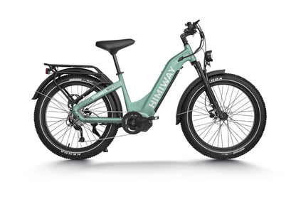 D5 ST Premium All-terrain Electric Fat Bike-Green